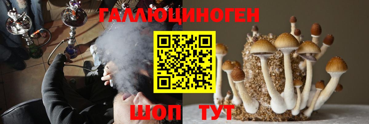 Псилоцибиновые грибы MAGIC MUSHROOMS Сатка
